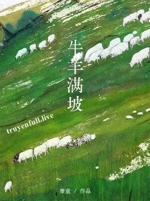 Bò Cừu Phủ Kín Triền Đồi