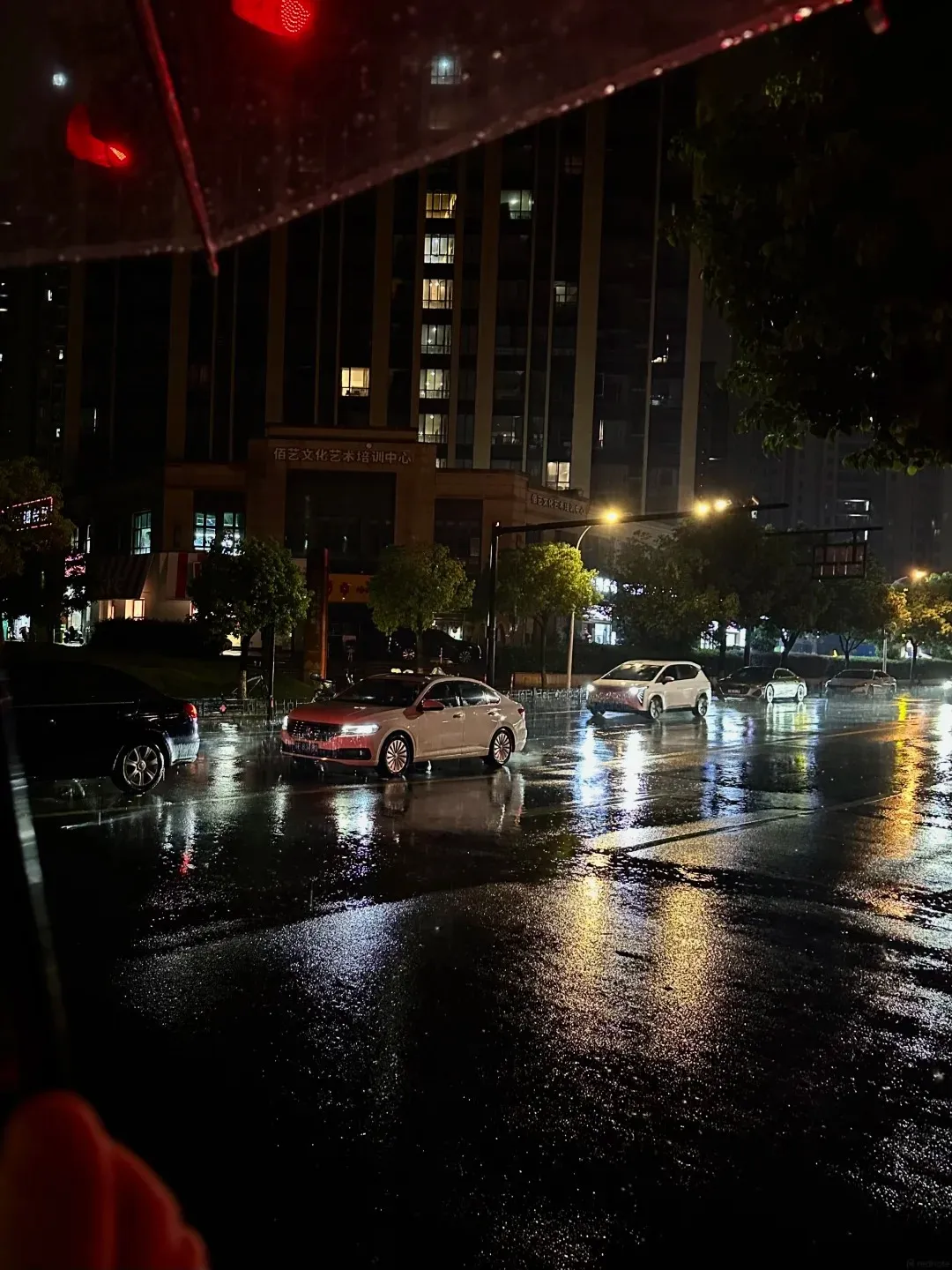 Phiêu lưu ở Tokyo