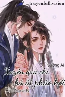 Xuyên Qua Chi Bá Ái Pháo Hôi