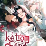 Kẻ Trộm Chồng